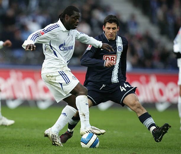 成功的案例 成功的案例